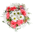This delightful bouquet, crafted with care by passionate Wallington florists, is a vibrant ode to spring's renewal and the neighbourhood's love of cheerful blooms. From a bird's-eye view, luminous white daisies shine at the heart of the composition, their lime-green centers like tiny beacons among a generous gathering of coral-pink carnations. Waves of feathery baby's breath drift through the bouquet, their miniature blooms bringing airy softness and an almost magical sparkle-evoking early morning light along Wallington's Victorian avenues. Buds of blush-tinted alstroemeria, tinged with purple accents, add a sophisticated detail just peeking among the blossoms. Varied eucalyptus and deep green foliage, carefully shaped around the flowers, provide structure and a splash of calming colour-a nod to the leafy charm of Bandon Hill. This perfectly balanced, circular arrangement radiates calm joy and optimism, ideal for brightening a loved one's day, celebrating life's milestones, or marking a special occasion in and around Wallington. With its harmonious palette, abundant freshness, and joyful presence, this bouquet feels both tranquil and exuberant-a stunning representation of local artistry and heartfelt connection.